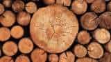 Paper Industries In Focus: Which Companies To Benefits From Low Lumber Prices?
