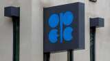 OPEC+ to cut oil output by 2 million barrels from November