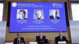Nobel Prize 2022: Chemistry Nobel goes to 3 scientists for developing way of snapping molecules together