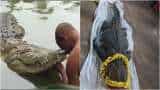 Vegetarian crocodile Babia: 70-year old reptile who lived in Kerala temple pond dies