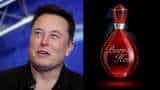 Elon Musk launches 'Burnt Hair' perfume, sells 10,000 bottles in 4hrs: Check price and how to buy