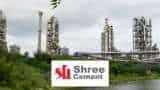  Shree Cement share price corrects 3% after poor Q2 show: Buy, Sell or Hold? Check what brokerages recommend 