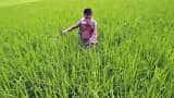 One Nation One Fertilizer scheme: What it is and how it will help farmers - Explained 