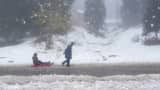 Kashmir Weather: First snowfall of the season beckons tourists! Gulmarg, Sonmarg covered in snow - PHOTOS 