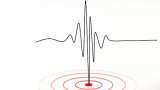 Jabalpur earthquake today news: Moderate intensity quake jolts Madhya Pradesh town