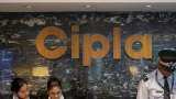 Cipla Share: Correction in pharma stock despite 12% consolidated net profit increase in Q2
