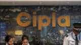 Cipla Share: Correction in pharma stock despite 12% consolidated net profit increase in Q2 Cipla Share: Correction in pharma stock despite 12% consolidated net profit increase in Q2