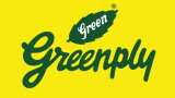 Greenply Q2 Results: Check consolidated quarterly net profit of leading plywood maker