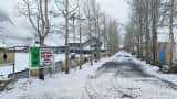Himachal Pradesh Snowfall Today news: Higher reaches wrap in blanket of snow | Snowfall in Manali, Shimla Video, photos 