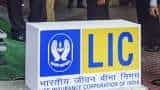 LIC zooms 9% as Street cheer insurer's multifold jump in Q2 net profit; ICICI Securities tags Buy - check price target 