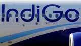 Indigo&#039;s return to profit fuelled by softening of ATF prices and increasing demand: Check details