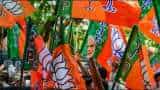 Gujarat Jhagadia Election Result 2022: Ritesh Vasava ensures BJP's first win