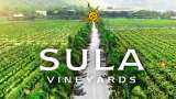 Sula Vineyards IPO allotment status online check: Date, registrar KFin Technologies direct link, BSE | Sula IPO Listing Date, Share Price Listing NSE