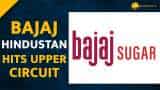 Bajaj Hindusthan Sugar share price locked at upper circuit for 2nd day in a row 