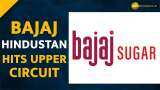 Bajaj Hindusthan Sugar share price locked at upper circuit for 2nd day in a row Bajaj Hindusthan Sugar share price locked at upper circuit for 2nd day in a row