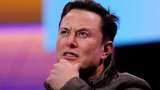 Elon Musk voted out as Twitter boss in poll he launched