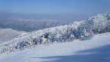 New Year Celebration Ideas: 6 best places in India to enjoy snowfall and adventure sports in snow New Year Celebration Ideas: 6 best places in India to enjoy snowfall and adventure sports in snow