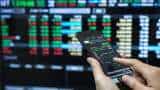 Traders Diary: Buy, Sell Or Hold Strategy On TCS, Maruti Suzuki, LIC, Marico, Others
