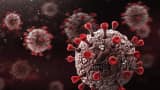 A New Coronavirus Variant Found In India