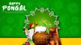 Pongal 2023 Wishes, Messages, Status, Greetings to share