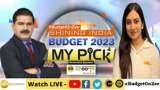 Budget My Pick: Rallis India - Shivangi Sarda&#039;s Stock Recommendation Before Budget 2023 