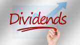DIVIDEND STOCKS: Havells India, Persistent Systems, Hindustan Zinc - Check amount and record date 