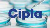 Q3 Results | Cipla: Net Profit Rises By 10% To ₹800.96 Cr, Revenue Rises By 5.2% Q3 Results | Cipla: Net Profit Rises By 10% To ₹800.96 Cr, Revenue Rises By 5.2%