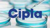 Q3 Results | Cipla: Net Profit Rises By 10% To ₹800.96 Cr, Revenue Rises By 5.2%