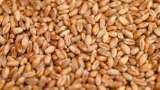 Govt to sell 30 lakh tonnes of wheat in open market till March to control prices of wheat, atta