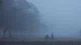 Delhi weather, temperature today: IMD predicts light rainfall in national capital; cold wave persists in Punjab, Haryana and Rajasthan