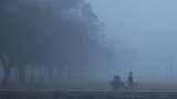 Delhi temperature, weather today forecast: Light rain likely to lash national capital, Noida, Ghaziabad 