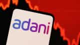 Regulations strictly followed while making investments: LIC tells govt amid concerns over exposure to Adani Group