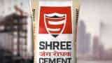 Results Preview: How Will Be The Results Of Shree Cement In Q3?