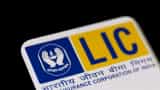 LIC WhatsApp Number, Registration: Check policy details, due dates and bonus status on phone 