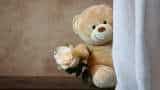 Happy Teddy Day 2023: Best Wishes, WhatsApp Messages, Quotes, Sayari, Images and Greetings to share with your partner on February 10