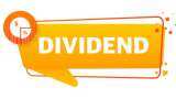 Dividend Stocks today, February 14: KPR Mill, Wheels India among 6 shares trade ex-date