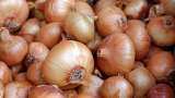 Maharashtra farmer in shock after he earns Rs 2.49 as net profit on sale of 512 kg onions