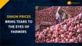 Onion Price Crash In India: Why Indian farmers have tears in their eyes? | Explainer | Zee Business