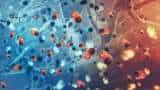 Centre raises concern over gradual increase in Covid positivity rate amid rising H3N2 cases, pitches for more surveillance Centre raises concern over gradual increase in Covid positivity rate amid rising H3N2 cases, pitches for more surveillance