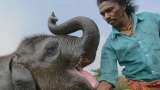 Oscars Awards 2023: India&#039;s &#039;The Elephant Whisperers&#039; wins Academy Award for the Best Documentary Short Film