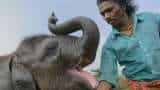 Oscars Awards 2023: India's 'The Elephant Whisperers' wins Academy Award for the Best Documentary Short Film Oscars Awards 2023: India's 'The Elephant Whisperers' wins Academy Award for the Best Documentary Short Film