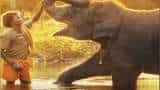 Oscar Awards 2023: 'The Elephant Whisperers' documentary from India that had a roar at 95th Academy Awards Oscar Awards 2023: 'The Elephant Whisperers' documentary from India that had a roar at 95th Academy Awards
