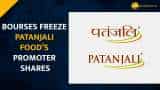 Patanjali foods shares falls 5% after stock exchanges froze promoter group