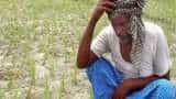 India 360: As Unseasonal Rains Destroys Farmers&#039; Crops Across India, How Will &#039;BIMA&#039; Help Them To Overcome Losses?