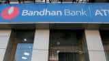 Bandhan Bank appoints Ratan Kumar Kesh as ED