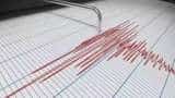 Ambikapur Earthquake Today News: 3.9 quake magnitude hits Ambikapur in Chhattisgarh