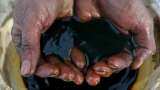 Pakistan to place order for Russian oil next month: Minister Musadik Malik