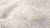 Sugar output falls 3% to 299.6 lakh tonnes in Oct-Mar of 2022-23 market year