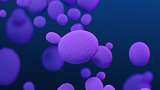 Deadly fungus Candida auris is spreading across US hospitals - a physician answers 5 questions about rising fungal infections Deadly fungus Candida auris is spreading across US hospitals - a physician answers 5 questions about rising fungal infections