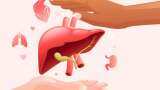 World Liver Day: 70% of asymptomatic people in India suffer from visceral fat obesity, 15% from fatty liver